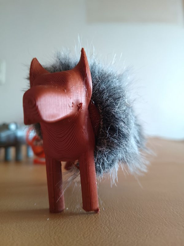 Perro
