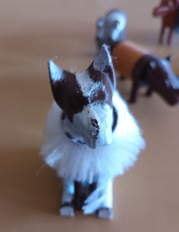 Perro - Imagen 3